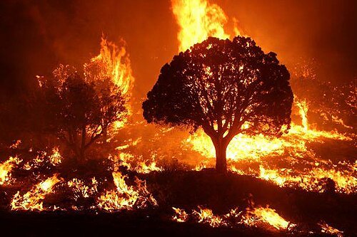Tested by fire; narrow is the path that leads to the kingdom of God